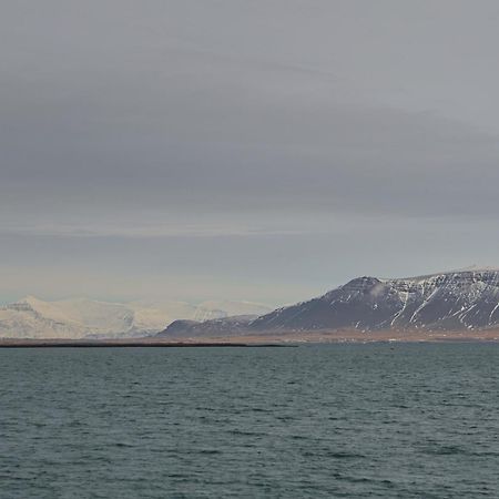 Floki'S Apartment Downtown. Reykjavík Zewnętrze zdjęcie